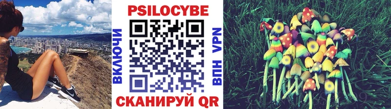 Псилоцибиновые грибы ЛСД  магазин  наркотиков  Приволжск 